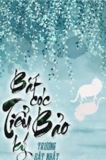 Bắt Cóc Tiểu Bảo ký