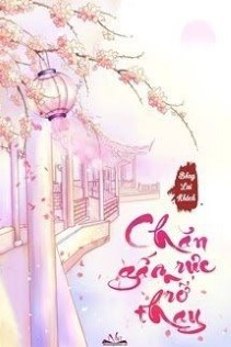 Chăn Gấm Rực Rỡ Thay