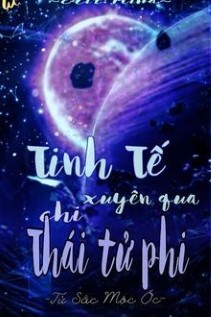 Tinh Tế Xuyên Qua Chi Thái Tử Phi